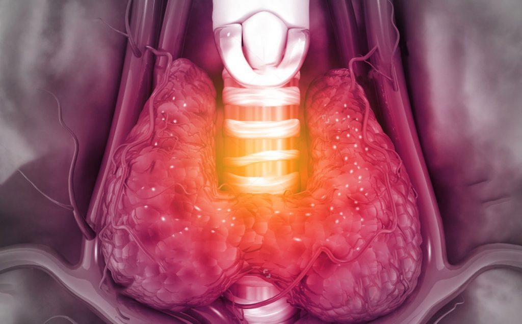 endocrinology