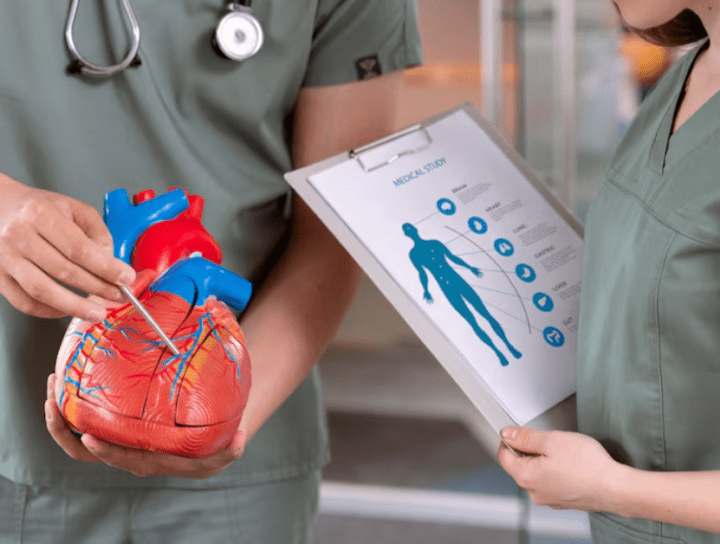 Heart Failure vs. Heart Attack