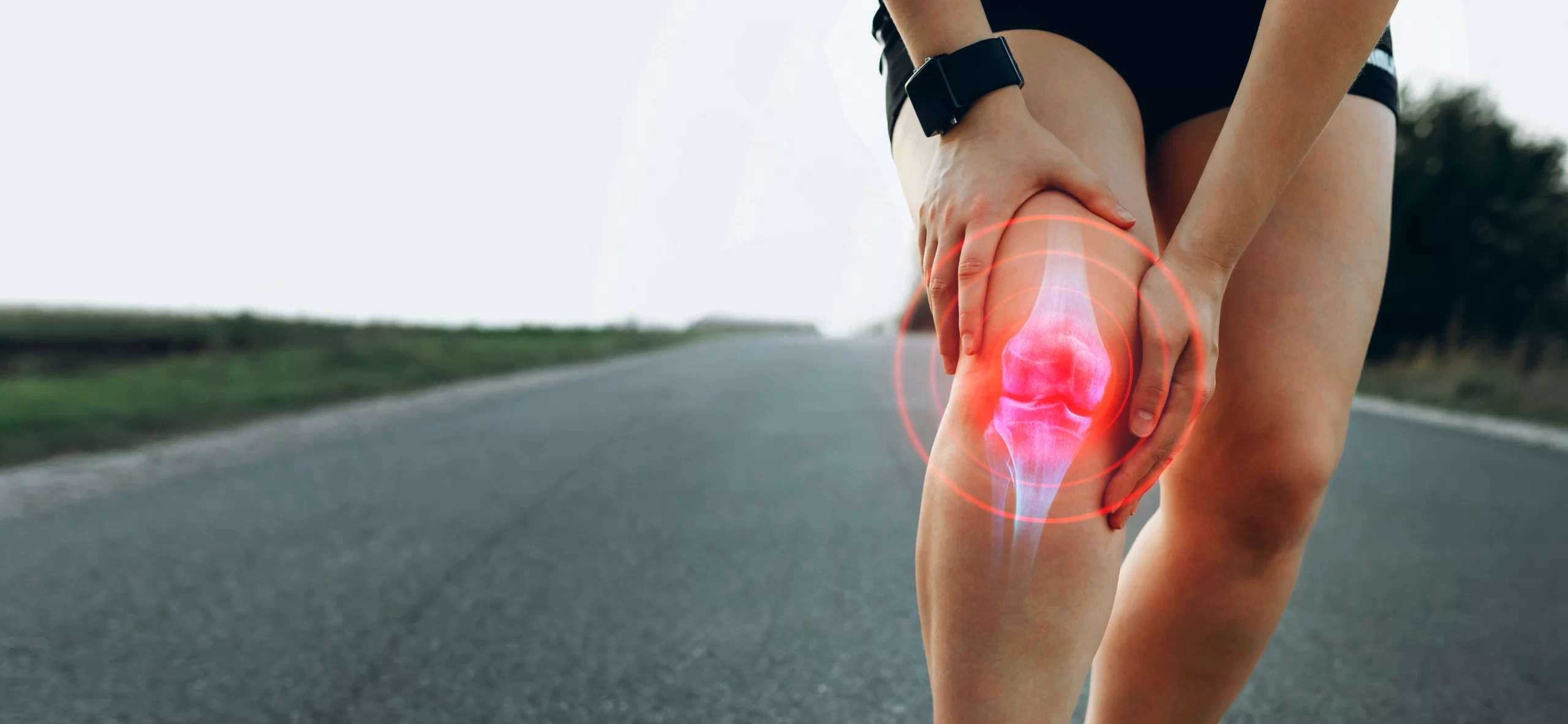 doctor for knee joint pain